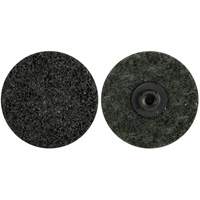 Non-Woven Quick-Change Discs, 2" Dia., Extra Coarse Grit, Aluminum Oxide Groupe Belzile Dickner