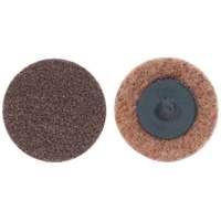 Disques non tiss&eacute;s &agrave; changement rapide, 2" dia., Grain Extra grossier, Oxyde d'aluminium Groupe Belzile Dickner