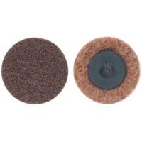 Non-Woven Quick-Change Discs, 3" Dia., Extra Coarse Grit, Aluminum Oxide Groupe Belzile Dickner