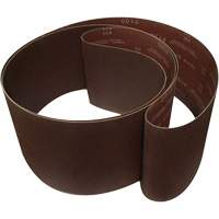 Abrasive Roll, 5" W x 120" L, 120 Grit Groupe Belzile Dickner