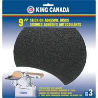 Wood Sanding Disc, 9" Dia., 60 Grit Groupe Belzile Dickner