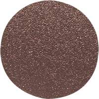 Wood Sanding Disc, 12" Dia., 80 Grit Groupe Belzile Dickner