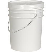 General Purpose Pail without Lid, Plastic, 4 L Groupe Belzile Dickner