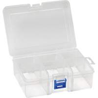 Plastic Compartment Box, 4.75" W x 6.75" D x 2.25" H, 6 Compartments Groupe Belzile Dickner