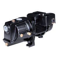 Dual Voltage Cast Iron Shallow Well Jet Pump, 230 V, 710 GPH, 1/2 HP Groupe Belzile Dickner
