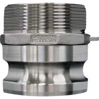 Accouplement &agrave; came et rainure, Acier inoxydable, Type F, 3/4", NPT m&acirc;le, 250 PSI Groupe Belzile Dickner