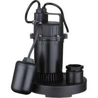 Thermoplastic Submersible Sump Pump, 2560 GPH, 115 V, 4.6 A, 1/3 HP Groupe Belzile Dickner