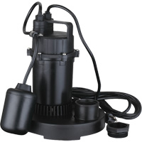 Thermoplastic Submersible Sump Pump, 2560 GPH, 115 V, 4.6 A, 1/3 HP Groupe Belzile Dickner