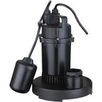 Thermoplastic Submersible Sump Pump, 2560 GPH, 115 V, 4.6 A, 1/3 HP Groupe Belzile Dickner