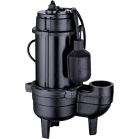 Pompe d'égout en fonte, 120 V, 10 A, 6400 gal./h, 3/4 CV DC849 | Dickner Inc