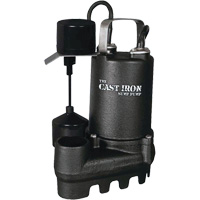 Cast Iron Submersible Sump Pump with Vertical Float Switch, 67 GPM, 33 V, 5 A, 1/3 HP Groupe Belzile Dickner
