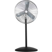 Pedestal Fans