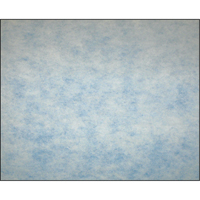 High-Arrestance Synthetic Media Filters, Pad, MERV 5, 24" W x 2" D x 12" H Groupe Belzile Dickner