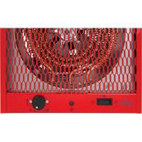 Radiateur, Entrepreneur, &eacute;lectrique, 19100 BTU/H Groupe Belzile Dickner