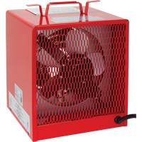 Radiateur, Entrepreneur, &eacute;lectrique, 19100 BTU/H Groupe Belzile Dickner