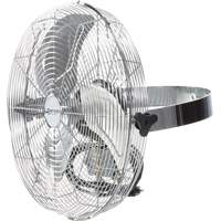 Wall-Mounted Air Circulator, Commercial, 3 Speed, 18" Diameter Groupe Belzile Dickner