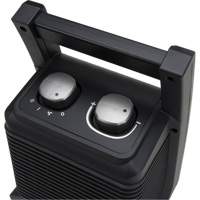 Portable Heater, Ceramic, Electric, 5115 BTU/H EB182 | Dickner Inc
