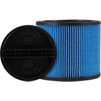 Filtre pour aspirateur Ultra-Web, Cartouche, Pour 5 gal. US Groupe Belzile Dickner