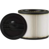 Small Vacuum Filter, Cartridge, Fits 1 - 6 US gal. Groupe Belzile Dickner