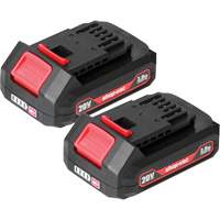 2.0Ah Lithium Battery - 2 Pack, 20 V Groupe Belzile Dickner