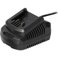 Single Battery Charger, 20 V Groupe Belzile Dickner