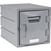 Locker, 12" x 15" x 12", Grey, Assembled Groupe Belzile Dickner