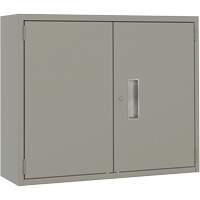 Armoire murale, Acier, 2 Tablettes, 30" h x 36" la x 12" P, Gris Groupe Belzile Dickner