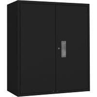 Armoire de rangement Lo-Boy, Acier, 2 Tablettes, 42" h x 36" la x 18" P, Noir Groupe Belzile Dickner