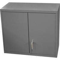 Wall-Mounted Cabinet, 27" H x 13-11/16" W x 35-7/8" D, 2 Shelves, Steel, Grey Groupe Belzile Dickner