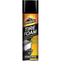 Tire Foam&reg; Protectant Groupe Belzile Dickner