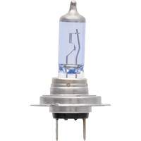 H7 SilverStar&reg; zXe Headlight Bulb, Halogen/HID, 56 W, White Groupe Belzile Dickner