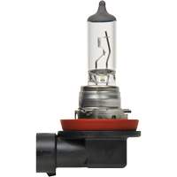 H8 Basic Headlight Bulb, Halogen, 35 W, Off White Groupe Belzile Dickner