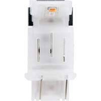 Mini-ampoule automobile 3157A, DEL, 0,5 W/12,8 W, Ambr&eacute;e Groupe Belzile Dickner