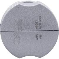 Ampoule pour feu avant H11, DEL, 13,2 W/17 W, Blanc Groupe Belzile Dickner