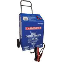 Chargeur 12 V 40 A Intellamatic Groupe Belzile Dickner