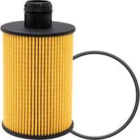 P40147 Lube Oil Filter Element Groupe Belzile Dickner