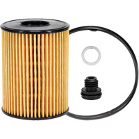 P40164 Lube Oil Filter Element Groupe Belzile Dickner