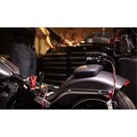 Chargeur de batterie 10 A Genius 10 Groupe Belzile Dickner