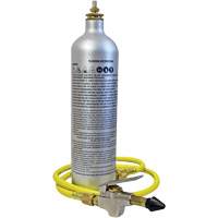 A/C System Flush Kit Groupe Belzile Dickner