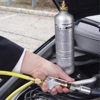 A/C System Flush Kit Groupe Belzile Dickner