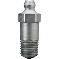 Straight Lubrication Fitting, 1/8" PTF SPL Short Thread Groupe Belzile Dickner