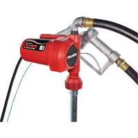 Pompe de transfert de carburant 12 V CC avec pistolet Groupe Belzile Dickner