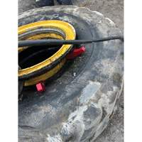 Cale de talon MEGABITE de 3 & 4 cm Groupe Belzile Dickner