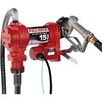 Pompe de transfert de carburant 12 V CC avec pistolet Groupe Belzile Dickner
