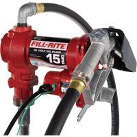 Pompe de transfert de carburant 12 V CC avec pistolet Groupe Belzile Dickner