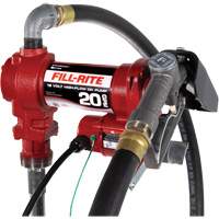 Pompe de transfert de carburant 12 V CC avec pistolet Groupe Belzile Dickner