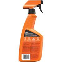 Multi-Purpose Auto Cleaner, 16 oz./473 ml, Trigger Bottle Groupe Belzile Dickner