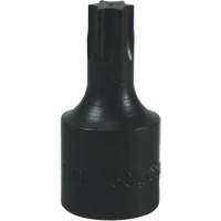 T-50 Torx&reg; Bit Groupe Belzile Dickner