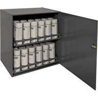 Armoire de rangement pour contenants a&eacute;rosol, Acier, 21-7/8" h x 15-15/16" la x 20-5/16" P, Gris Groupe Belzile Dickner