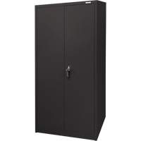Storage Cabinet, Steel, 4 Shelves, 66" H x 30" W x 15" D, Black Groupe Belzile Dickner